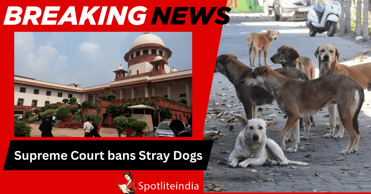 Supreme Court Bans Stray Dogs