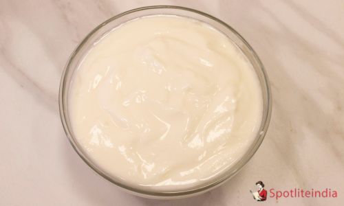 Yogurt - Dahi
