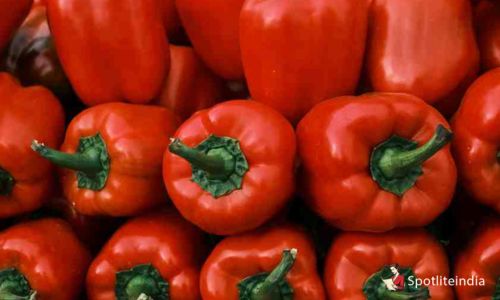 Red Bell Peppers - Immune Boosting Foods